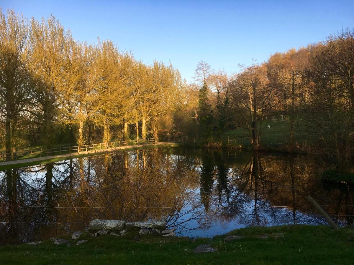 Penbedw Uchaf Estate - Rural Retreats, Tennis Молд Екстер'єр фото