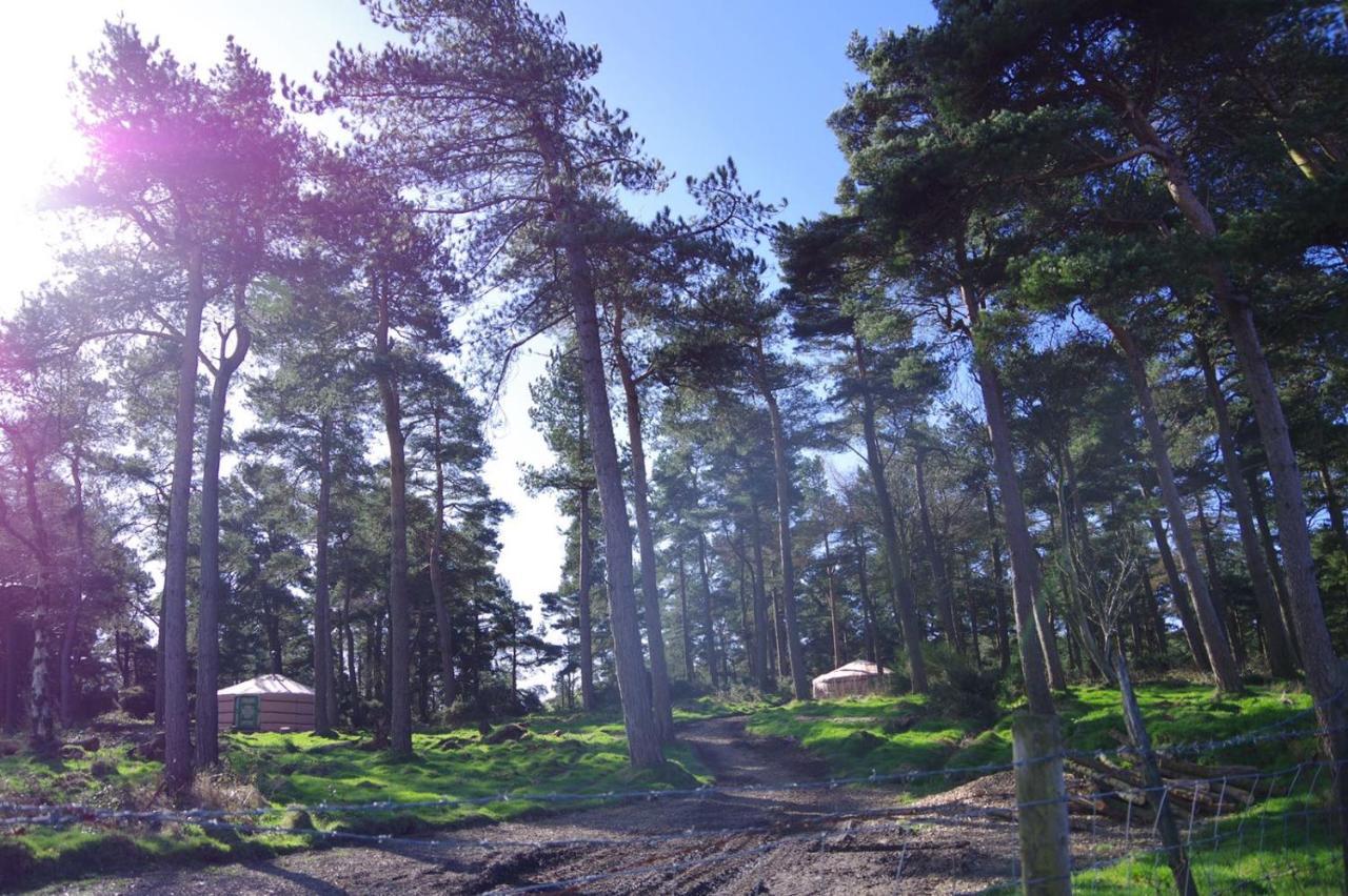 Penbedw Uchaf Estate - Rural Retreats, Tennis Молд Екстер'єр фото